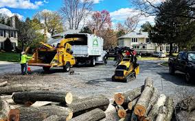 Best Hedge Trimming  in Mogadore, OH